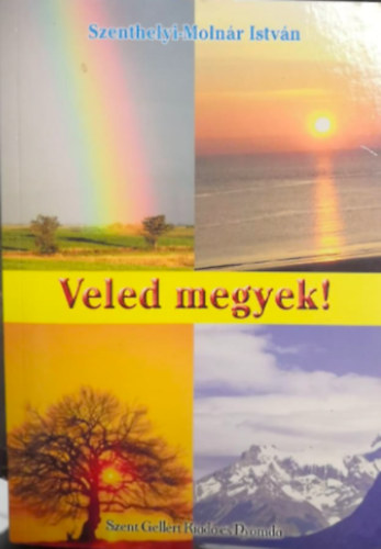 Veled megyek!