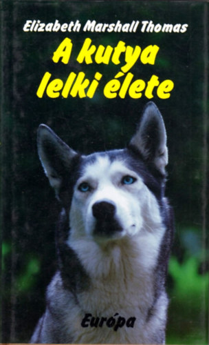 A kutya lelki �lete