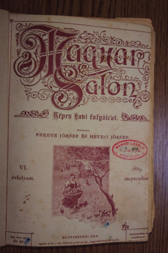 A Magyar Salon 1889-es vfolyamnak fltucat szma egybektve