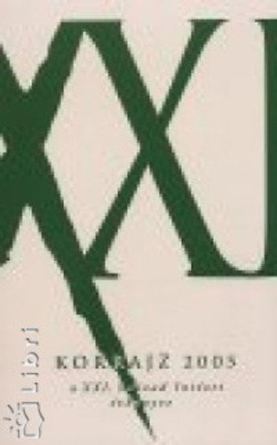 Korrajz 2005. - A XXI. szzad intzet vknyve