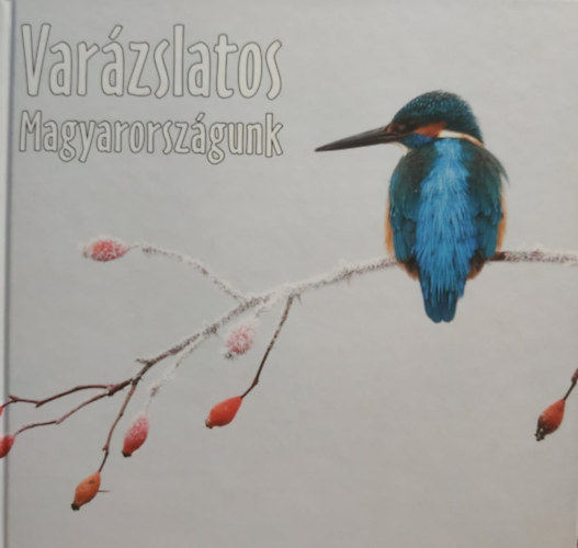 Varzslatos Magyarorszgunk