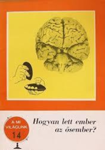 Hogyan lett ember az sember?