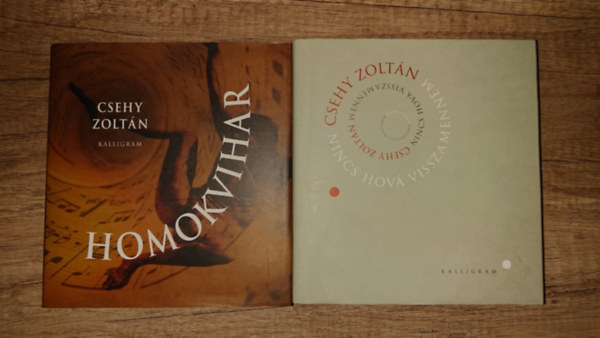 2 k�tet CSehy Zolt�nt�l: Homokvihar, Nincs hova visszamennem