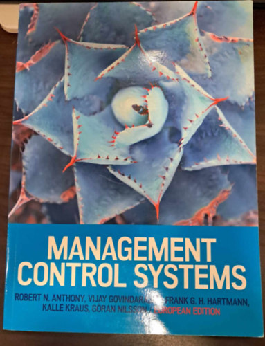 Management Control Systems