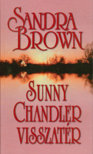 Sandra Brown - Sunny Chandler visszatr