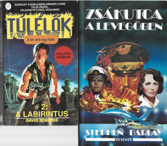 2 db k�nyv, David Robbins: A labirintus, Stephen Barlay: Zs�kutca a leveg�ben