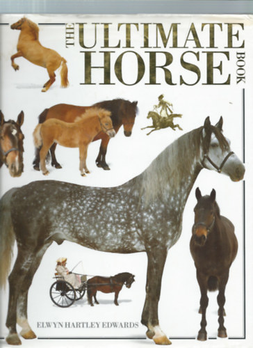 Nagy Lovasknyv (The Ultimate Horse Book)