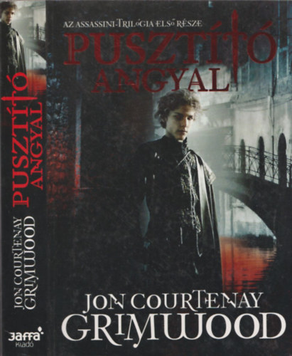 Pusztt angyal (Assassini-Trilgia 1.)
