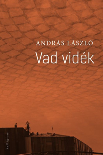 Vad vidk