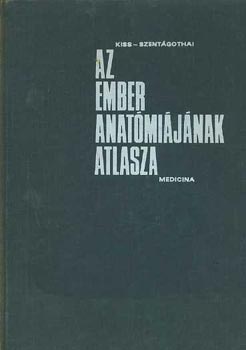 Az ember anatmijnak atlasza II.
