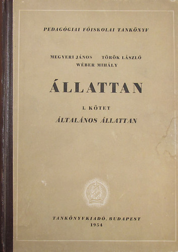 llattan I. ktet - ltalnos llattan