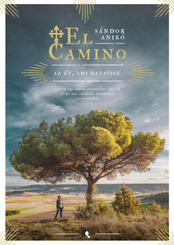 El Camino -  az t, ami hazavisz