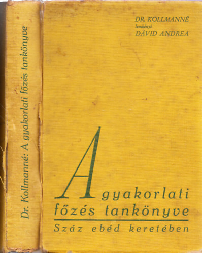 Kollmann Lemhnyi Dvid Andrea - A gyakorlati fzs tanknyve  - szz ebd keretben