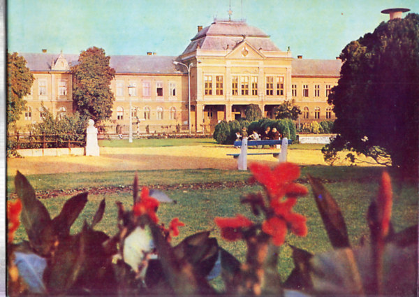 Dank� Imre - Hajd�b�sz�rm�ny k�pekben