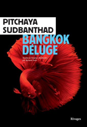 Pitchaya Sudbanthad - Bangkok Déluge