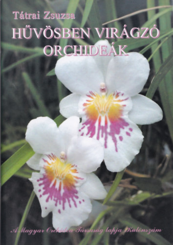 Hvsben virgz orchidek