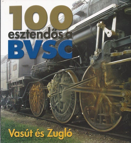 100 esztends a BVSC - Vast s Zugl