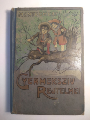 Gyermekszv rejtelmei (j, kpes kiads) (Gor Lajos eredeti rajzaival)