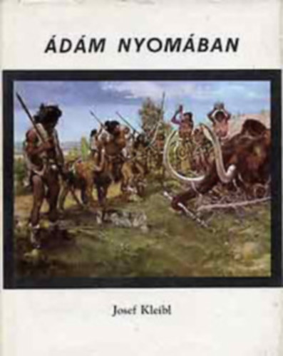 dm nyomban