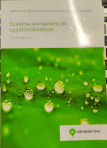 Tamars Irn, Tzsr Dorina, Vajda Norbert, Vrs Ildik Sikn Bartos Edina - Szakmai kompetencik, egyttmkdsek