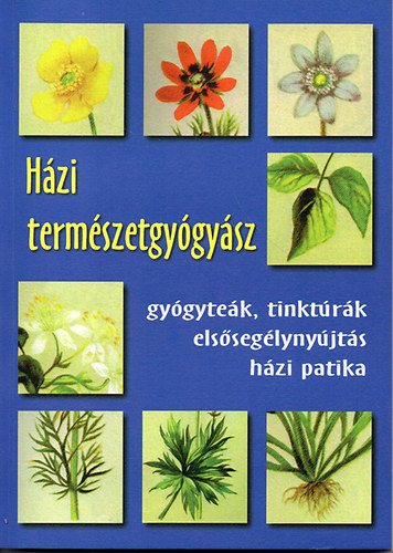 Hzi termszetgygysz