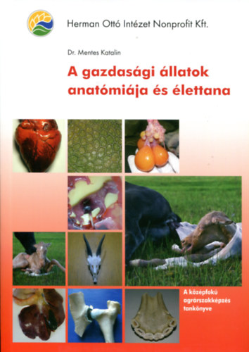 A gazdasgi llatok anatmija s lettana
