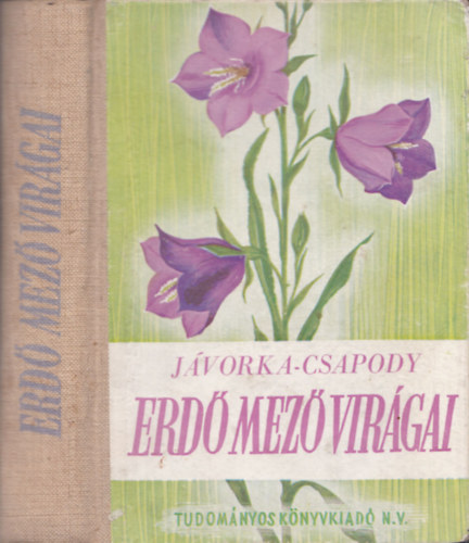 Erd-mez virgai (A magyar flra sznes kis atlasza)
