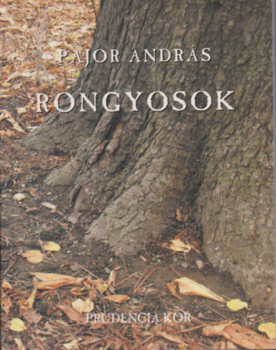 Pajor Andrs  (dediklt) - Rongyosok