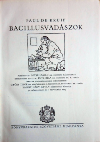 Bacillusvadszok