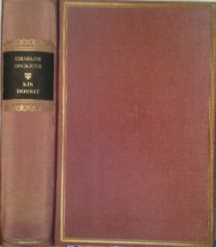 Kis Dorrit (Helikon Klasszikusok)