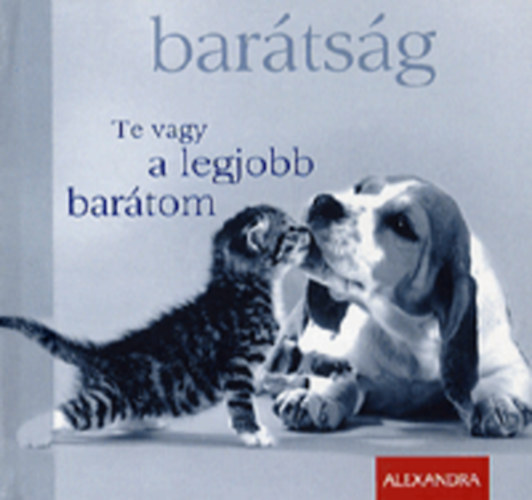 Bartsg - Te vagy a legjobb bartom