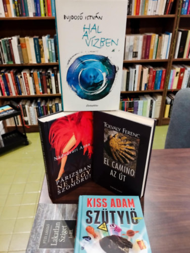 Kort�rs magyar irodalom k�nyvcsomag 5 darabos K�NYVMENT� AJ�NLAT: Hal a v�zben, P�rizsban ne l�gy szomor�!, El Camino-Az �t, Sz�tyi�, Lakatlan sziget I-III.