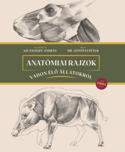Anatmiai rajzok vadon l llatokrl - Eurpa