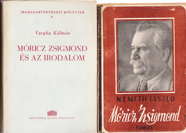 Mricz Zsigmond s az irodalom + Mricz Zsigmond