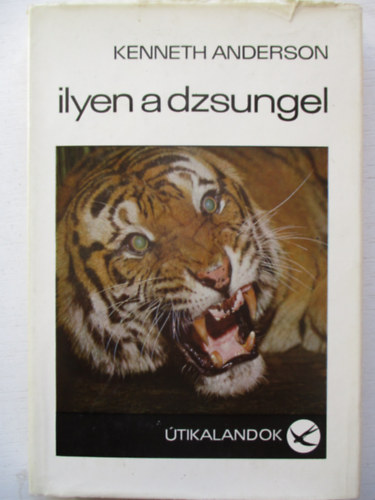 Ilyen a dzsungel