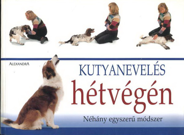 Kutyanevels htvgn - Nhny egyszer mdszer a kutyaidomtshoz