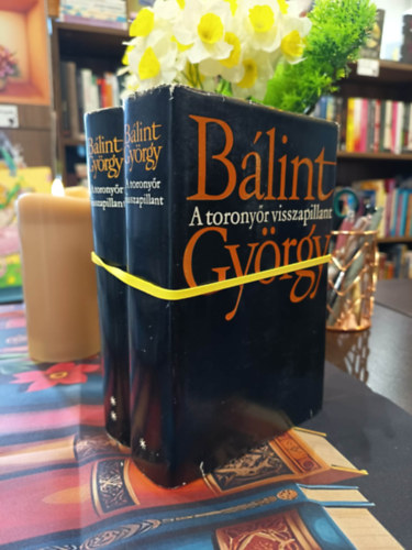 A torony�r visszapillant I-II.