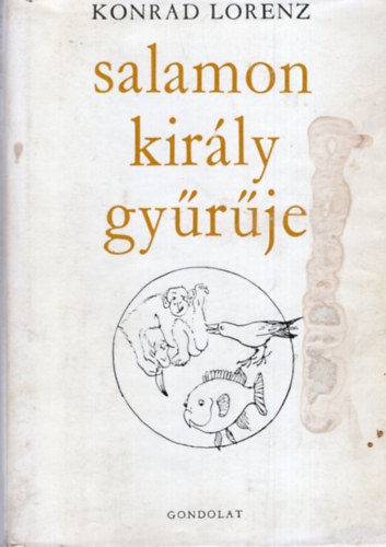 Salamon kirly gyrje