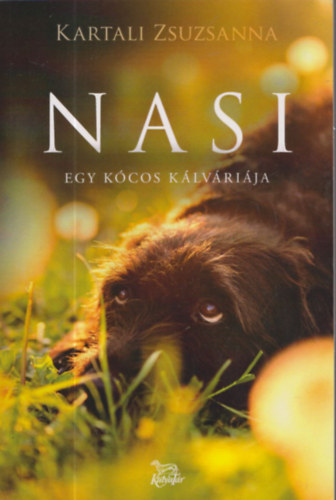 Nasi