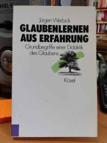 Glaubenlernen aus Erfahrung: Grundbegriffe einer Didaktik des Glaubens