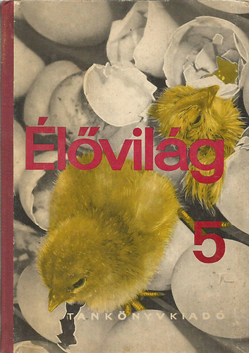 lvilg az ltalnos iskolk 5. osztlya szmra