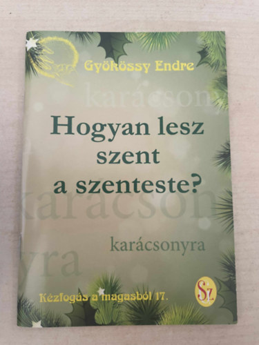 Hogyan lesz szent a szenteste? (Kzfogs a magasbl 17.)