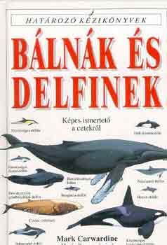 Blnk s delfinek