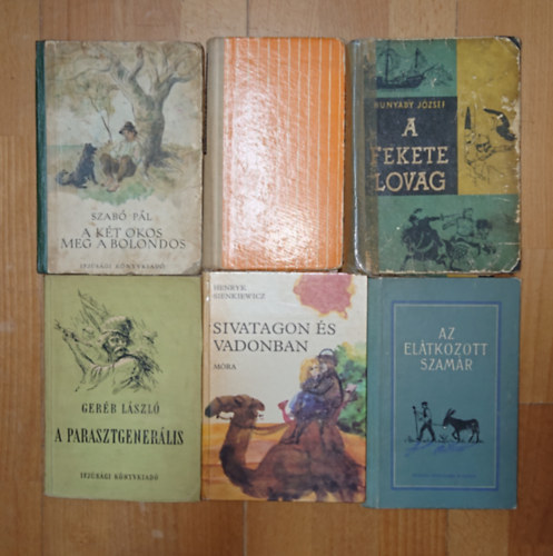 6 klasszikus ifj�s�gi k�nyv: Aranyes�, A k�t okos meg a bolondos, A fekete lovag, Az el�tkozott szam�r, A parasztgener�lis, Sivatagon  �s vadonban
