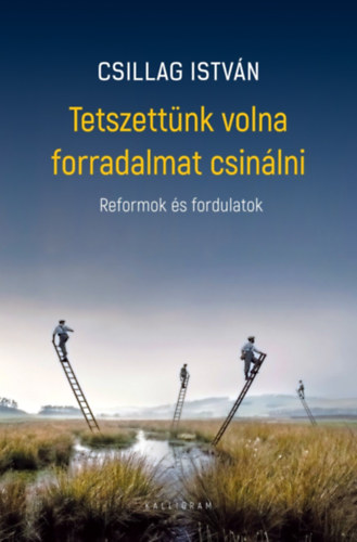 Tetszettnk volna forradalmat csinlni