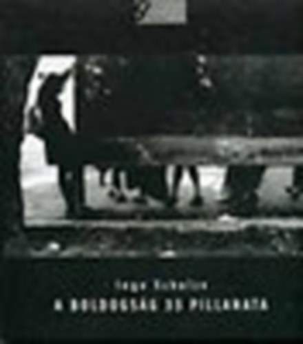 Ingo Schulze - A boldogsg 33  pillanata