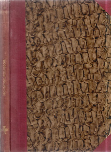 Birk�s G�za - Montaigne pedag�giai tanulm�nyai (Pedag�giai k�nyvt�r II.)