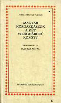 Magyar kzgazdszok a kt vilghbor kztt