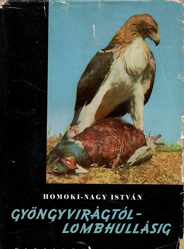 Gyngyvirgtl lombhullsig - Sznes filmmel vadmadarak utn (2. bvtett kiads)