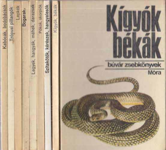 8db. Bvr zsebknyv